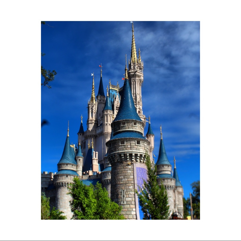 Disney Castle Photo (bigger)